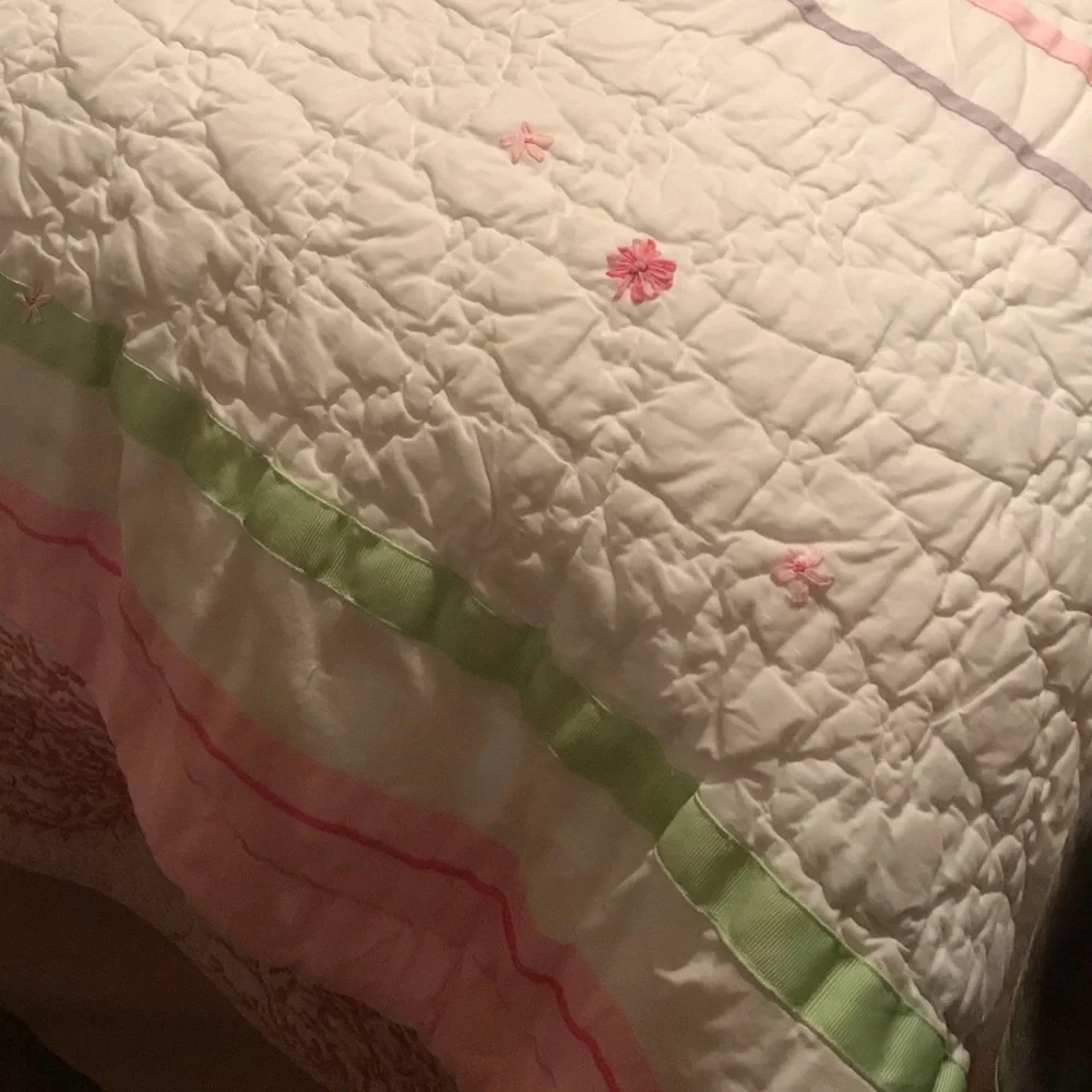 Pottery Barn Kids Rainbow Ribbon Floral Comforter
